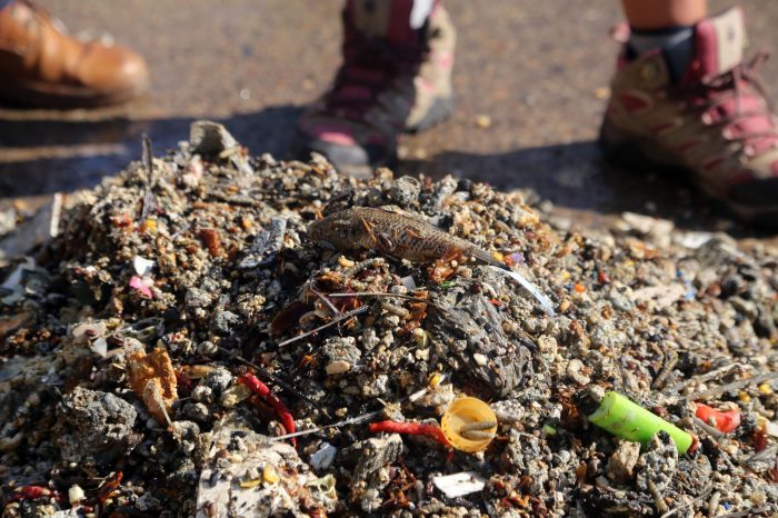 Exhorta SEAPAL a no tirar sólidos ni basura al drenaje